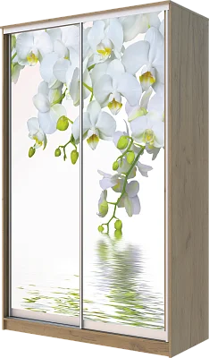 картинка Шкаф-купе 2-х дверный с фотопечатью Белая орхидея 2400 1682 620 от магазина КУПИ КУПЕ
